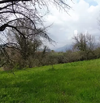 Foto annuncio 4