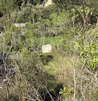 Foto annuncio 12