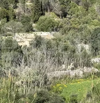 Foto annuncio 26