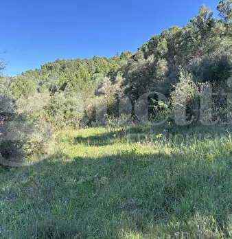Foto annuncio 13