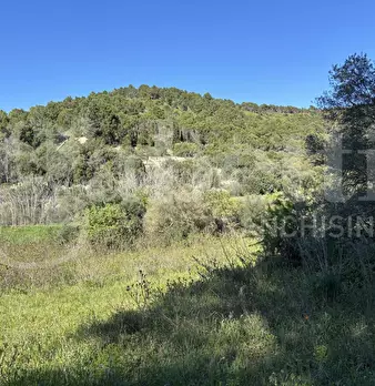 Foto annuncio 29