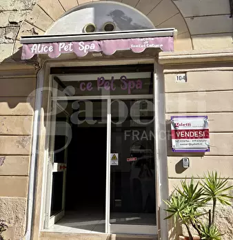 Foto annuncio 11