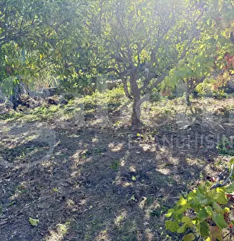 Foto annuncio 24