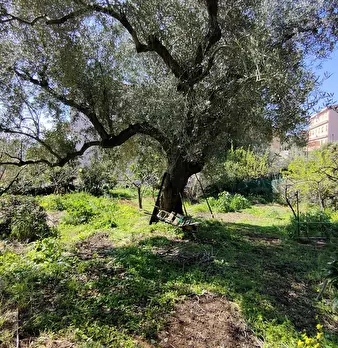 Foto annuncio 5