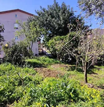 Foto annuncio 2