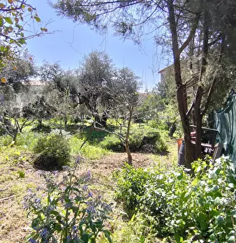 Foto annuncio 3