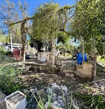 Foto annuncio 18