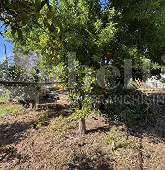 Foto annuncio 39