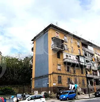 Foto annuncio 14