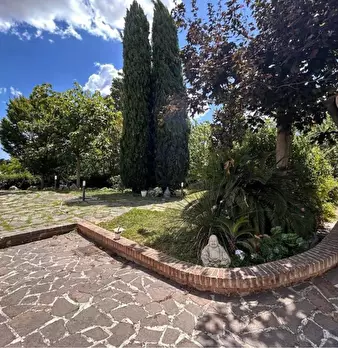 Foto annuncio 23