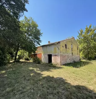 Foto annuncio 4