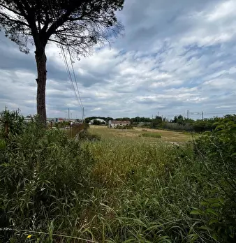 Foto annuncio 4