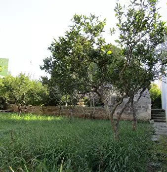 Foto annuncio 4