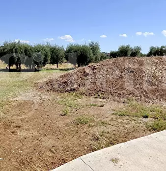 Foto annuncio 6