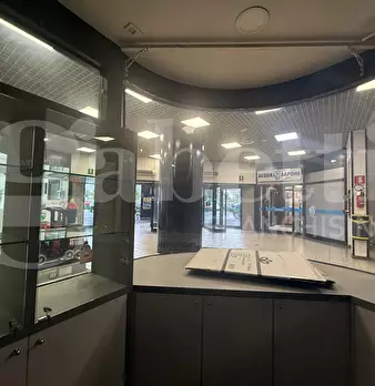 Foto annuncio 7