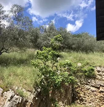 Foto annuncio 23