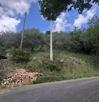 Foto annuncio 19
