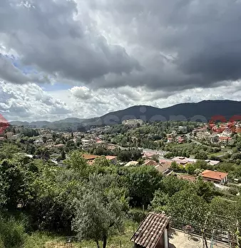 Foto annuncio 14