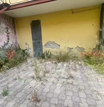 Foto annuncio 30