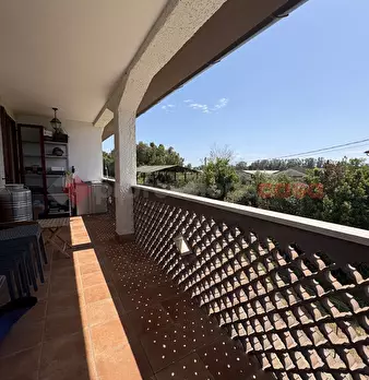 Foto annuncio 33