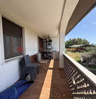 Foto annuncio 34