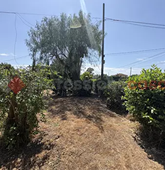 Foto annuncio 4