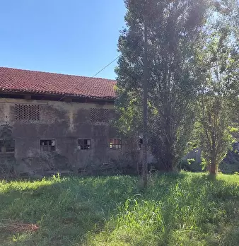 Foto annuncio 1