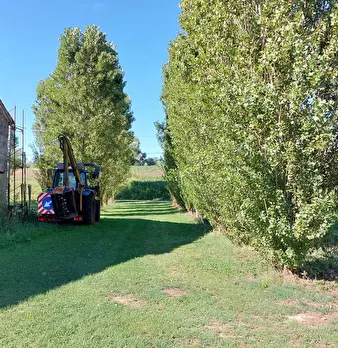 Foto annuncio 6