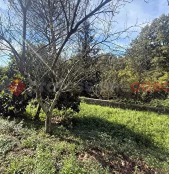 Foto annuncio 11