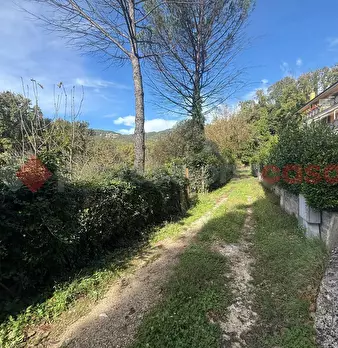 Foto annuncio 16