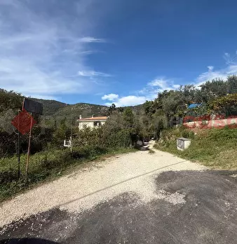 Foto annuncio 12