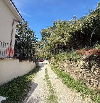 Foto annuncio 13