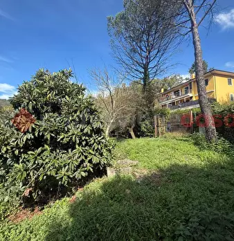 Foto annuncio 6