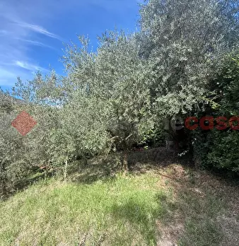 Foto annuncio 7