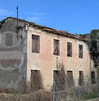 Foto annuncio 4