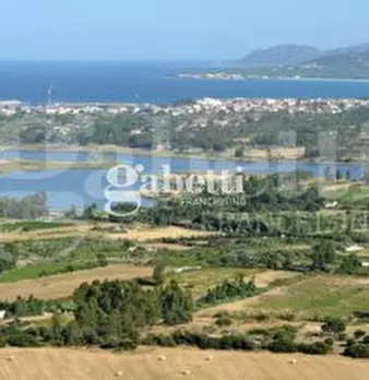 Foto annuncio 19