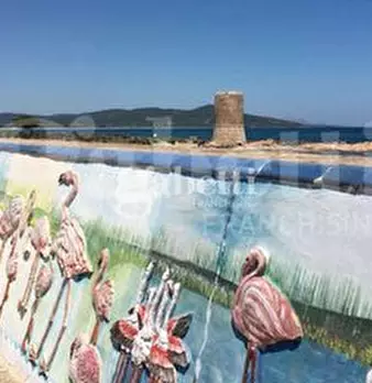 Foto annuncio 9