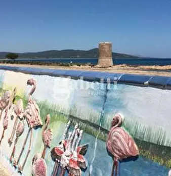 Foto annuncio 11