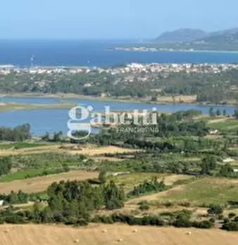 Foto annuncio 18