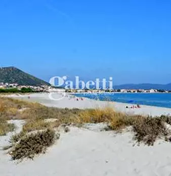Foto annuncio 15