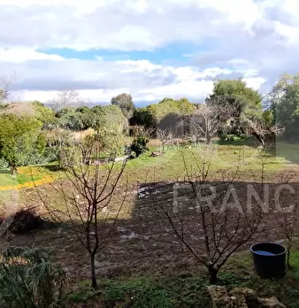Foto annuncio 28