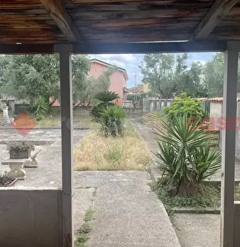 Foto annuncio 12