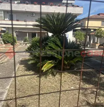 Foto annuncio 24