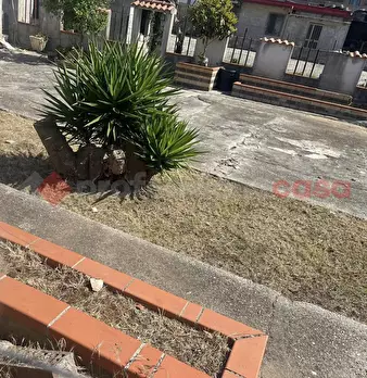 Foto annuncio 22