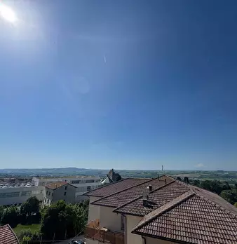 Foto annuncio 42