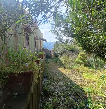 Foto annuncio 33