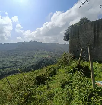 Foto annuncio 41