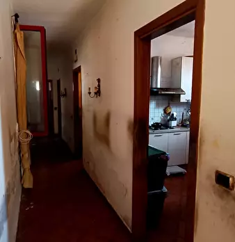 Foto annuncio 13
