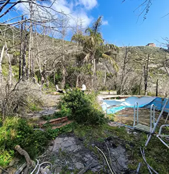 Foto annuncio 36