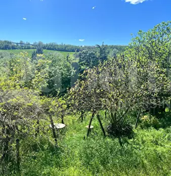 Foto annuncio 37